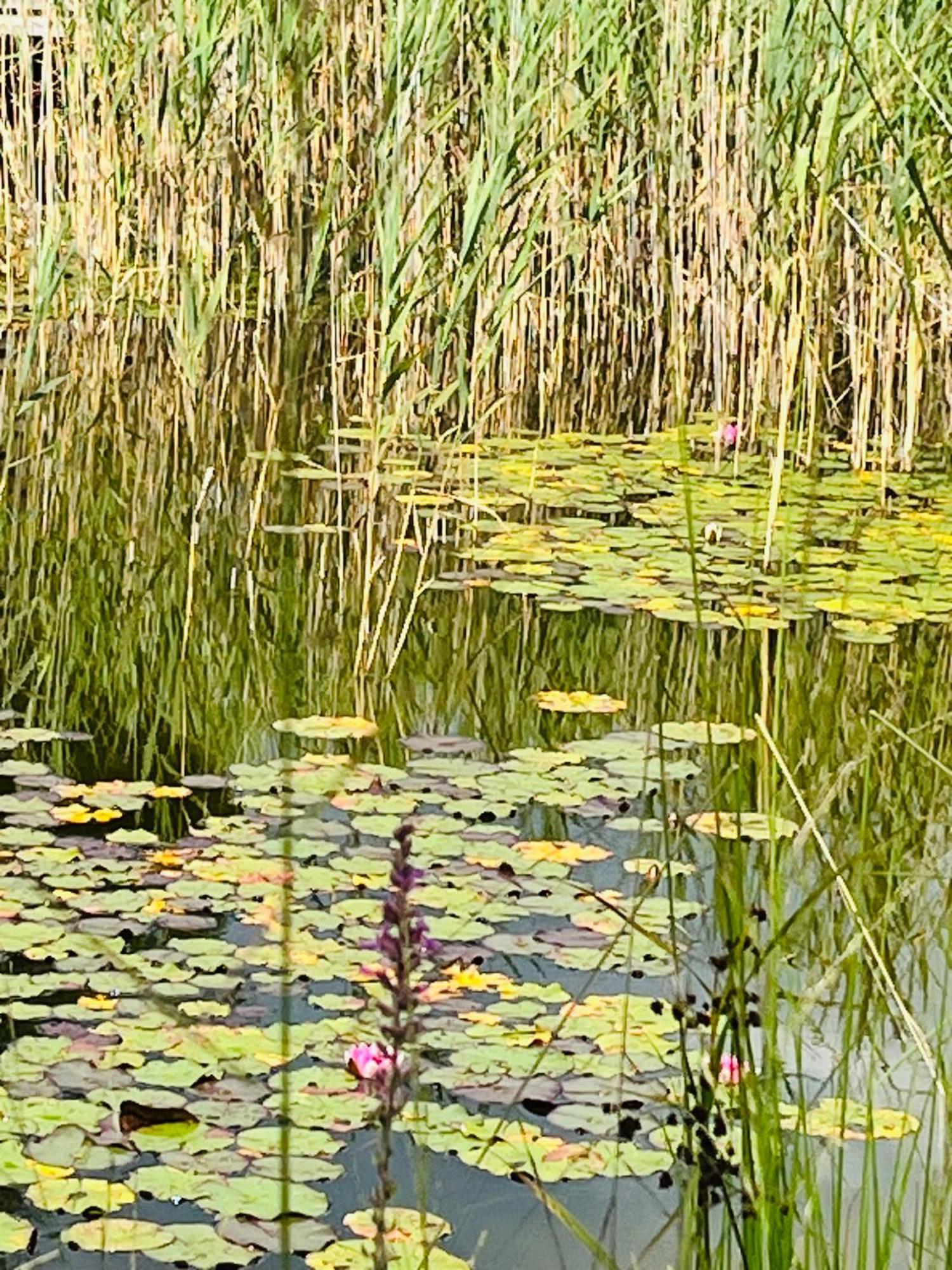 Arte Hafen Prien